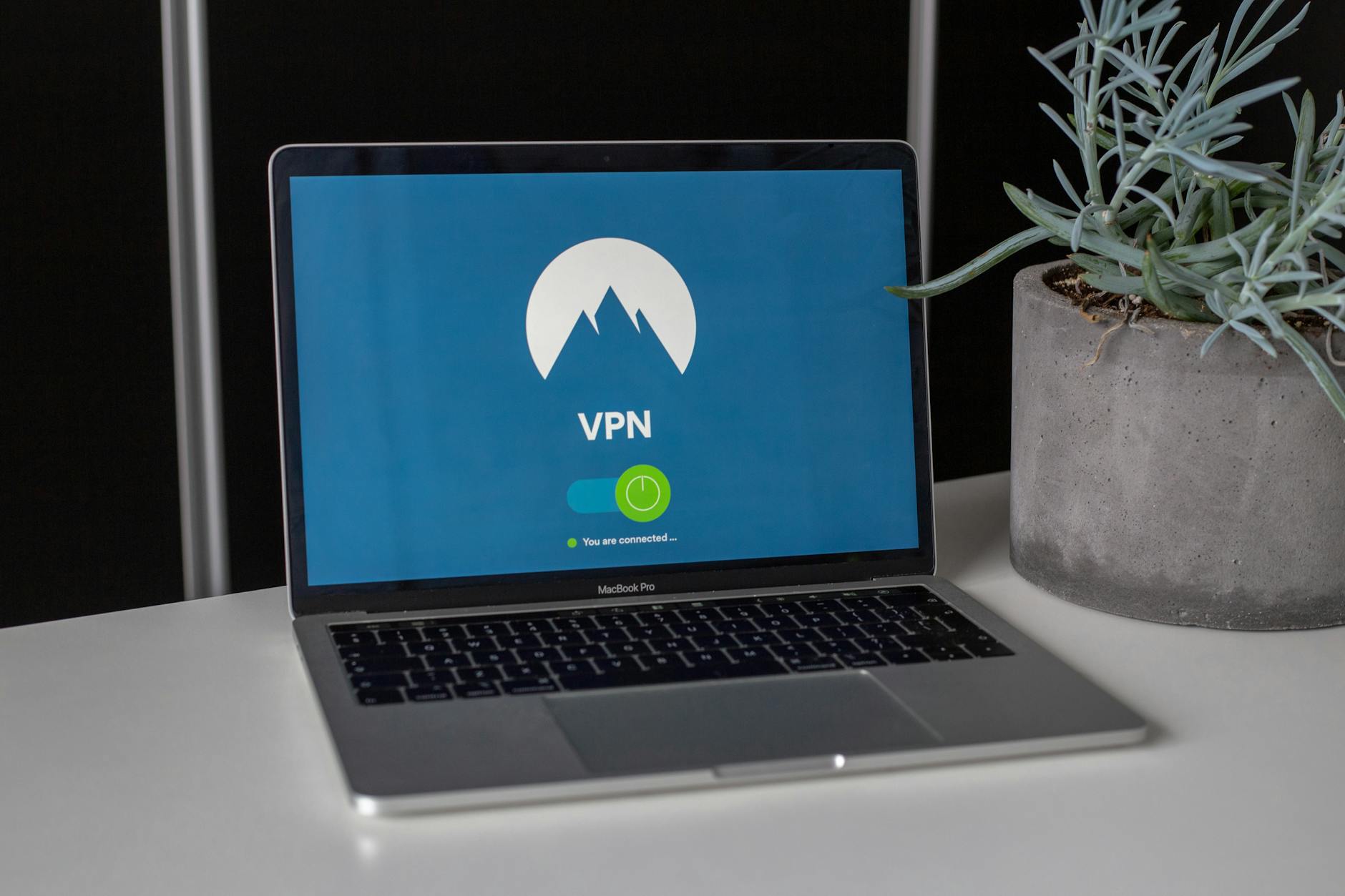 Laptop z ekranem VPN na biurku obok sukulenta, symbol bezpieczeństwa online